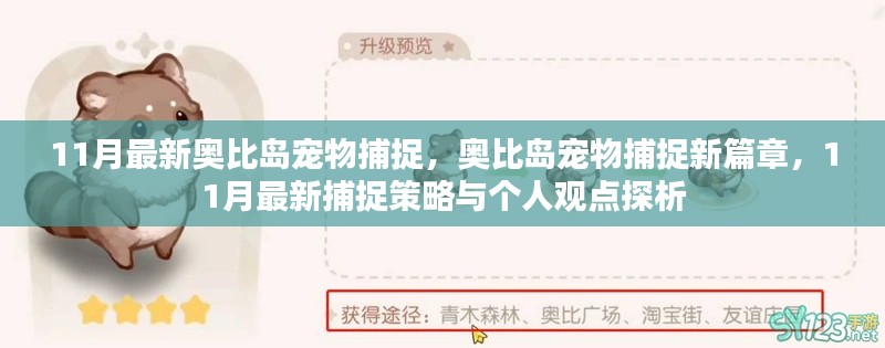 11月奥比岛宠物捕捉新篇章，策略与个人观点探析