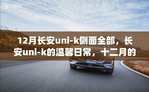设备展示 第391页