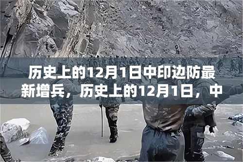 指李推张 第3页