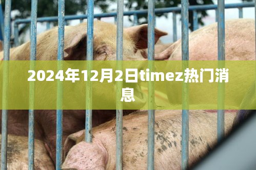 鸟为食亡 第4页