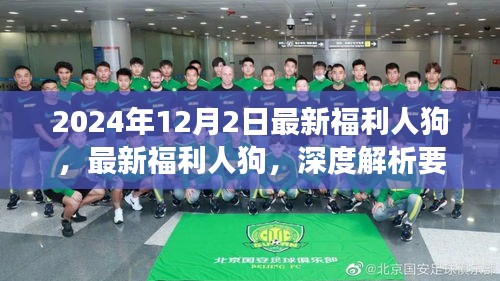 张皇无措 第4页
