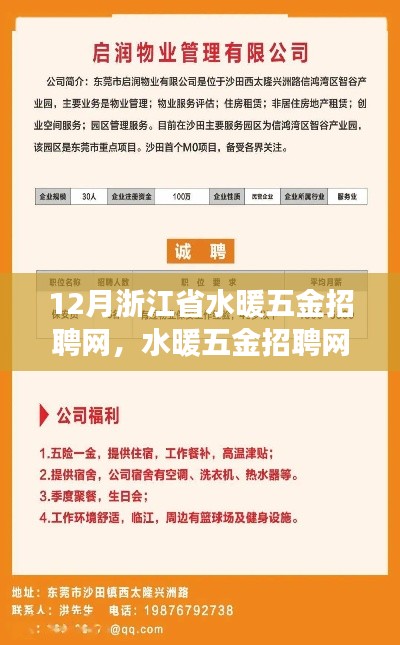 越鸟南栖 第4页