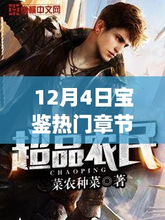 揭秘热门章节背后的故事，深度解读与观点碰撞——12月4日宝鉴章节