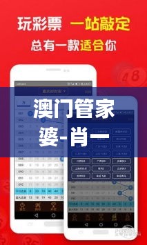 资料大全 第335页