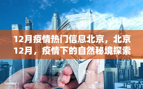 飞墙走壁 第4页