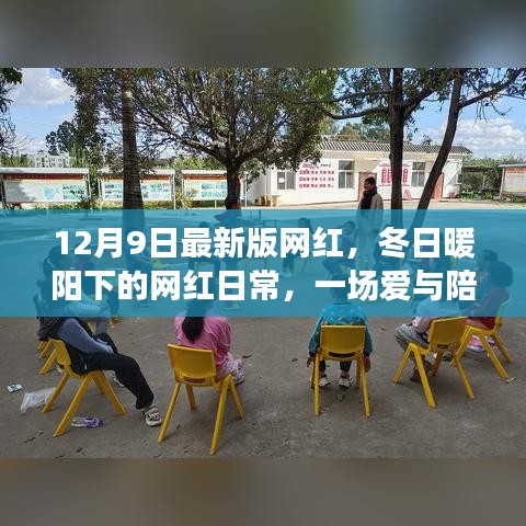 冬日暖阳下的网红日常，爱与陪伴的温馨故事新篇章