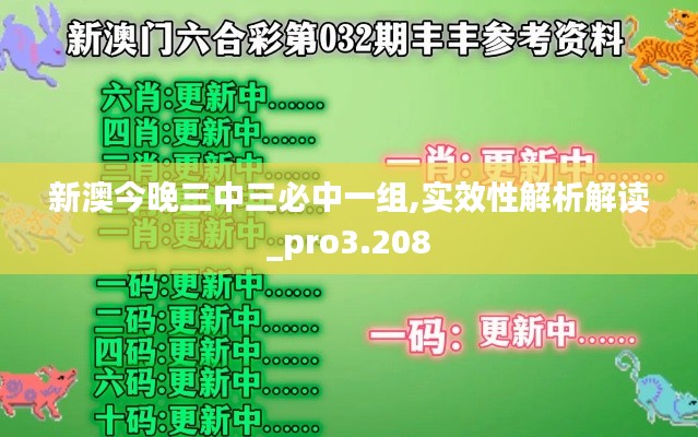 新澳今晚三中三必中一组,实效性解析解读_pro3.208