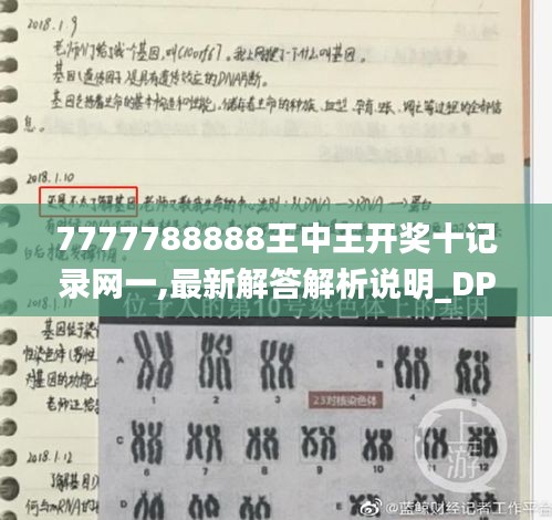 张灯挂彩 第4页