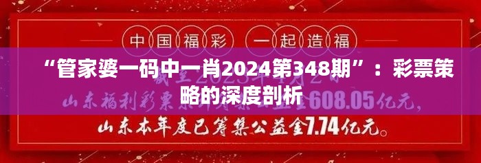 “管家婆一码中一肖2024第348期”：彩票策略的深度剖析