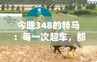 还淳反朴 第4页
