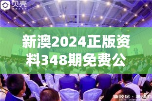 资料大全 第236页