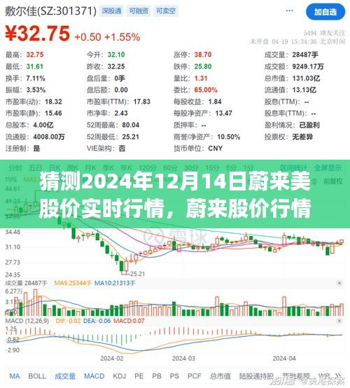 新闻中心 第317页