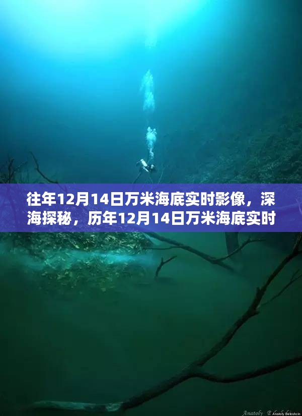 断织劝学 第3页