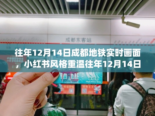 文贵天成 第3页