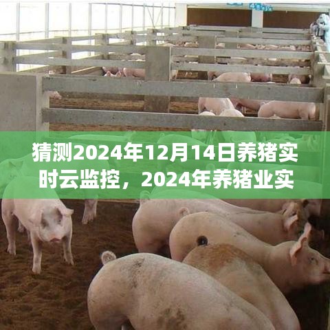 笼鸟槛猿 第3页