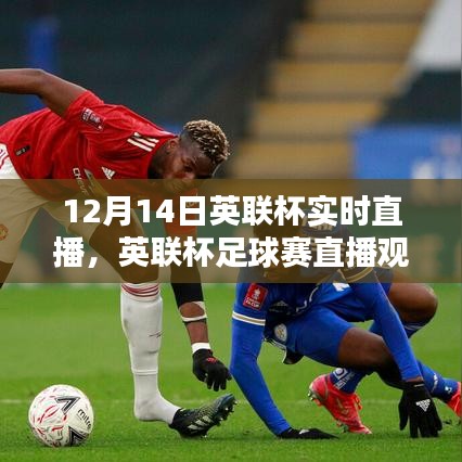 英联杯足球赛直播观看指南，轻松观看12月14日英联杯实时直播