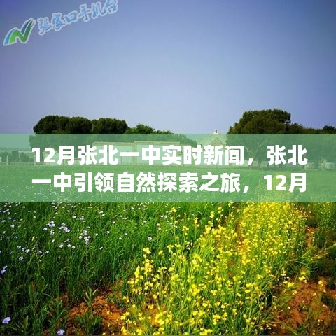 自然探索之旅
