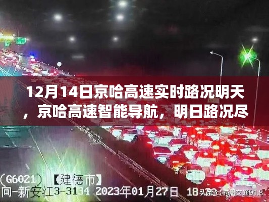 落落大方 第3页