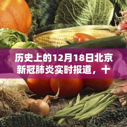 友情纽带