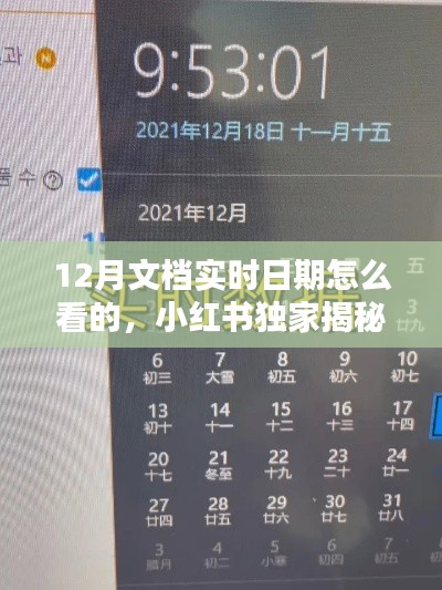 小红书揭秘