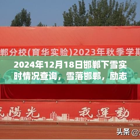 自信绽放