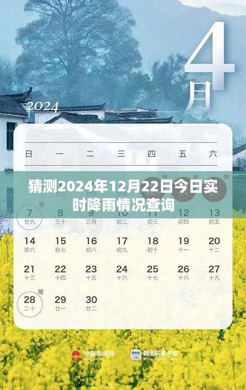 未来天气预测