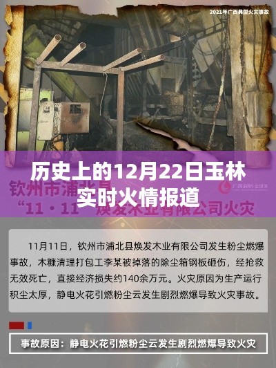 走马观花 第3页