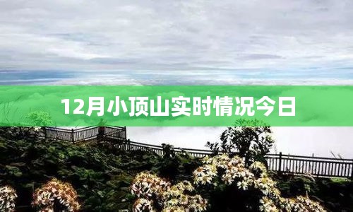 产品展示 第249页