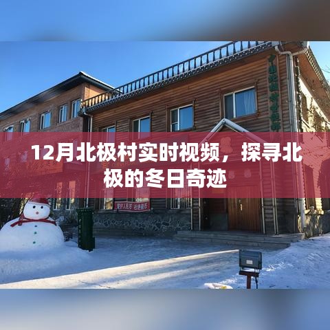 一飞冲天 第3页