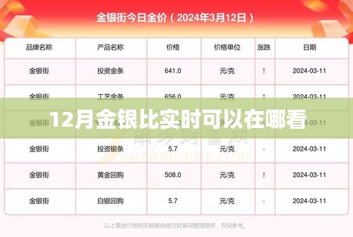 查询指南