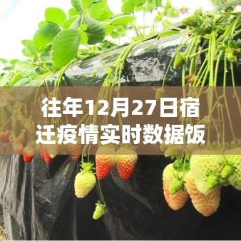 产品展示 第237页
