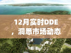 市场脉动