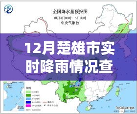 最新数据