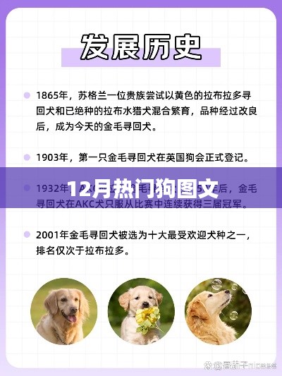 产品展示 第225页