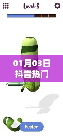 抖音热门歌曲二手玫瑰，揭秘一月三日最炫旋律