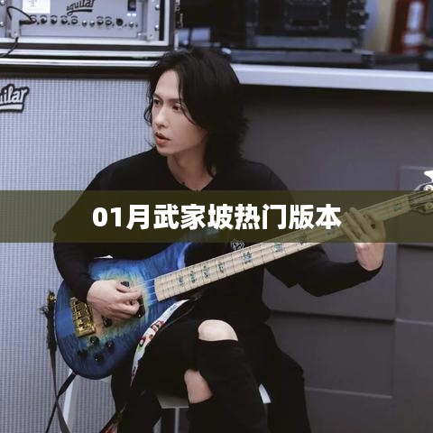 武家坡热门版本一览（精选推荐）