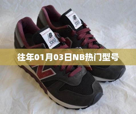 历年热门NB型号回顾，一月三日精选盘点