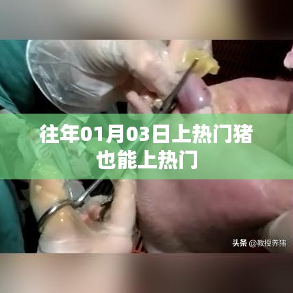 新闻中心 第191页