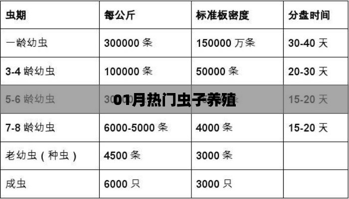 一月热点