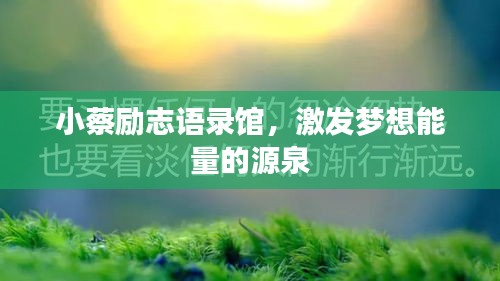 闻所未闻 第2页