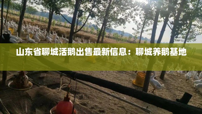 碧瓦飞甍 第2页