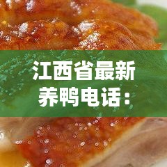 淡泊以明志，宁静以致远 第3页