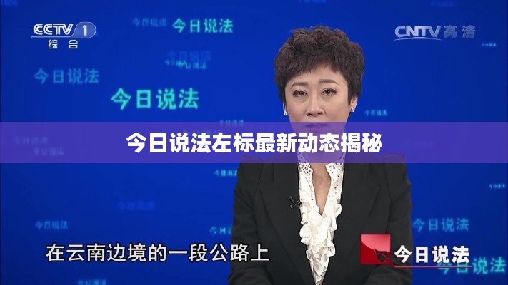 百不得一 第2页