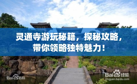 望其项背 第2页