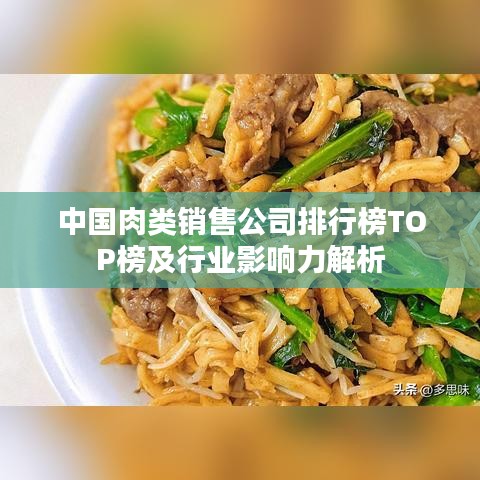 公司简介 第134页