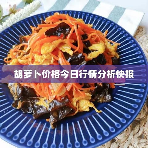 胡萝卜价格今日行情分析快报