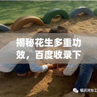 资料大全 第128页