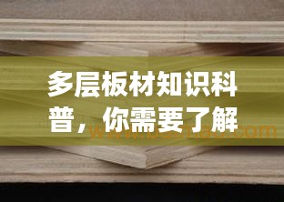 七贵三公 第2页