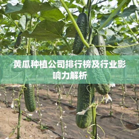 资料大全 第119页