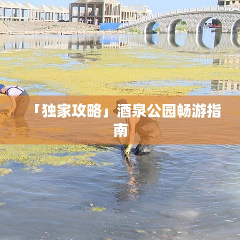 鸟飞兔走 第2页
